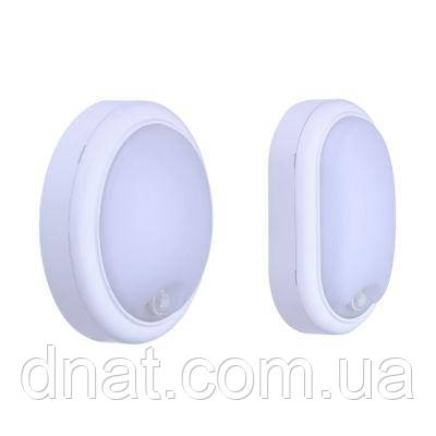 Настінний світлодіодний світильник із датчиком руху SmartBright WL008C LED10/NW oval-Sensor W
