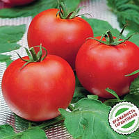 Семена помидор Полфаст F1 томат красный раннеспелый высокоурожайный 0,05 гшт. GreenMarket