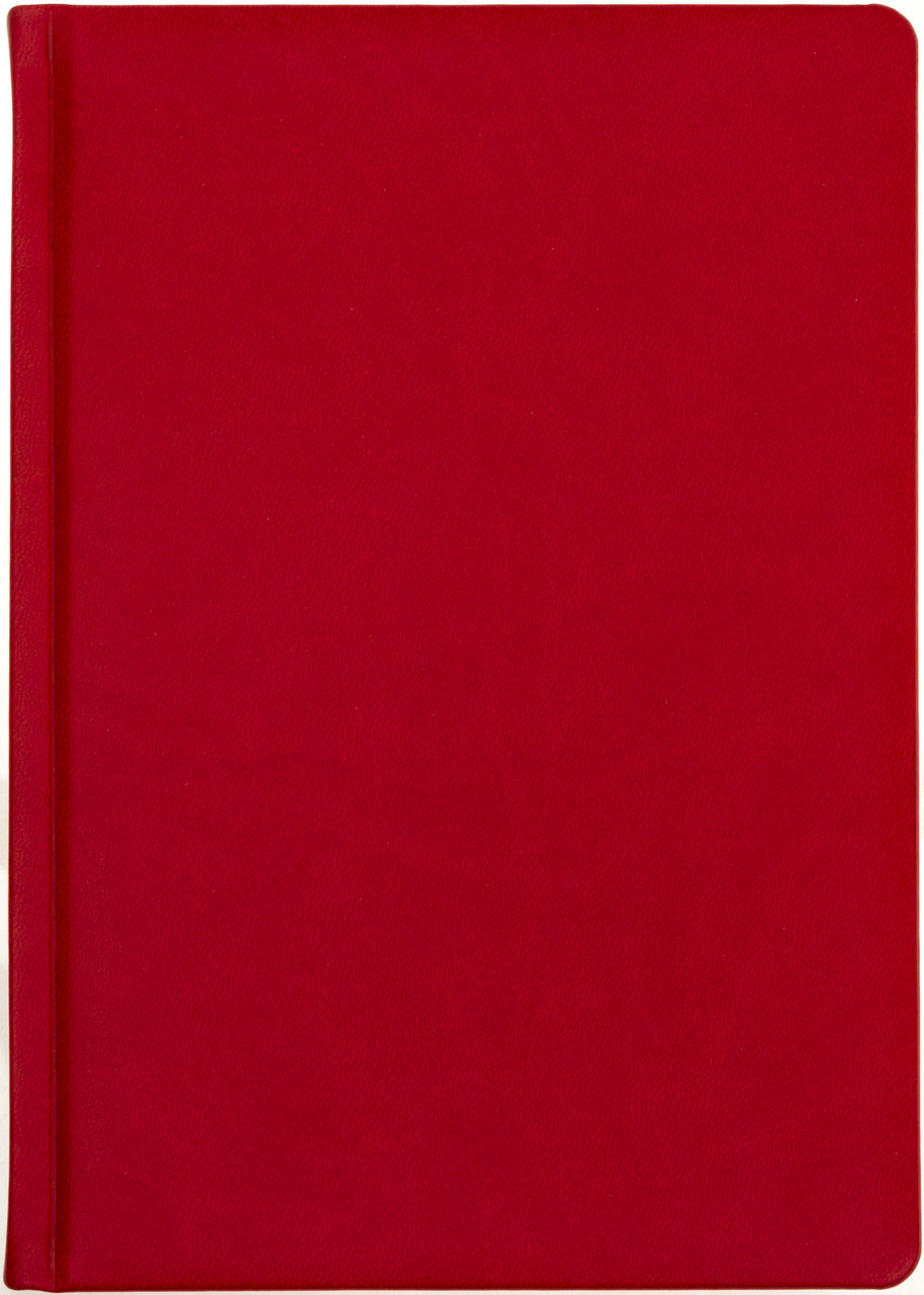 Щоден. A5 "Economix" недат. Vivella червоний №22034-03(20)