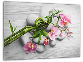 Картина на полотні на стіну для інтер`єру/спальні/прихожої DK Рожева орхідея на камінні 60x100 см (MK10170_M)