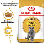 Royal Canin British Shorthair (Роял Канін Брітіш Шортхеа) сухий корм для британських кішок старше, 10 кг