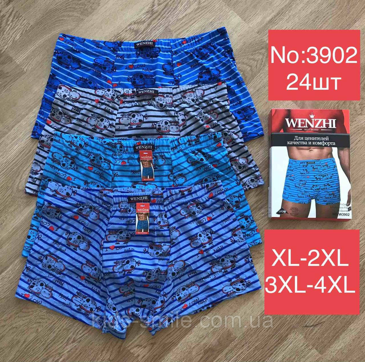 Труси чоловічі