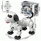 Собака робот інтерактивна іграшка на пульт у формі годинника, світло, звук, реагує на дотики, фото 3