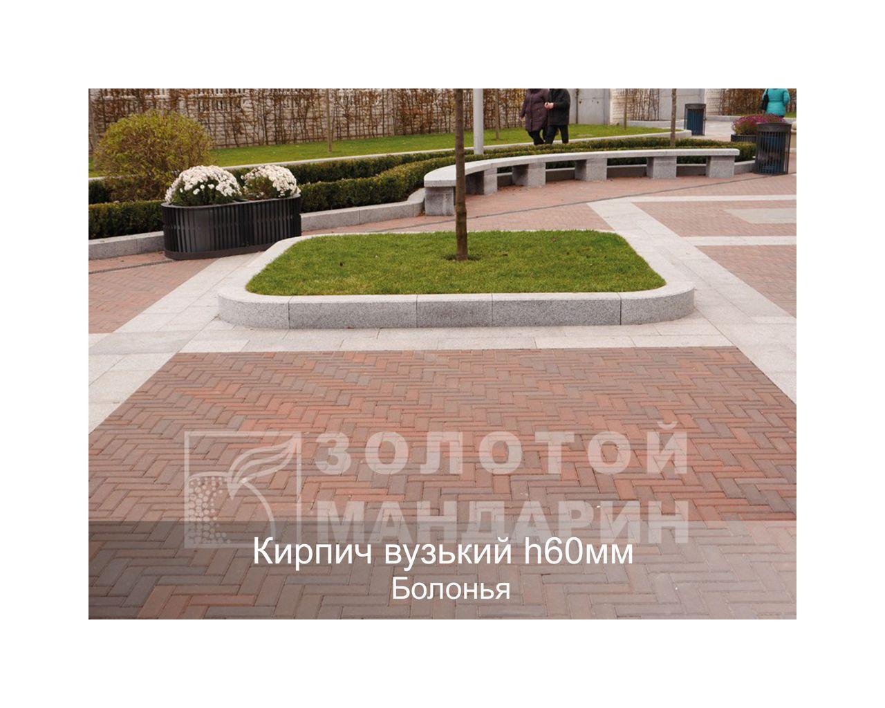 Плитка тротуарная, брусчатка Кирпич узкий 210х70 Золотой Мандарин - фото 7 - id-p1703452410