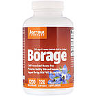 Олія огірочника (Borage) 1200 мг