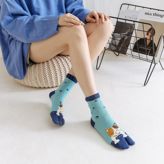 Шкарпетки з двома пальцями Лапки Котилія Kiki Sox 36-40 табі жіночі м'ятний