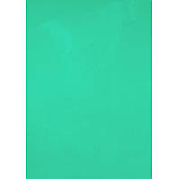 Обкладинка для брошурування А4 "Axent" пластикова 180мкм прозора зелена №2720-04(50)(1000)