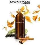 Montale Boise Fruite Парфумована вода унісекс 2 мл (пробник), фото 3