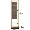 Вітрина розпашна у вітальню з ДСП REG1D1W Лана Горіх верона/Ясен сніжний Gerbor, фото 2