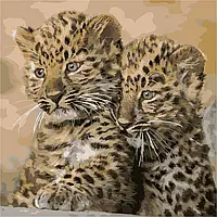 Номерна розмальовка на полотні Леопарди 40*40