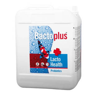 Пробіотики Bactoplus Lacto Health 5 л для коропів коі, для ставкової риби, для риби в ставку для УЗВ