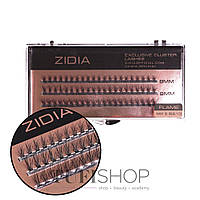 Ресницы ZIDIA Cluster lashes Flame Series C 0,10 Mix S 3 ленты размер 8, 9, 10 mm (110047)