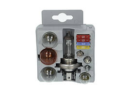 Автомомобільна лампа (набір) Bosch H4 12V P21W (8 ламп + 4 запобіжника в кейсі)
