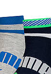 Шкарпетки Puma Boys' Quarter Stripe 2-pack 35-38 black/gray 104002001-030, фото 2