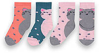 Шкарпетки дитячі демісезонні для дівчинки GABBI NSD-310 розмір 12-14 (в упаковке 6 штук)(90310)