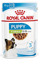 Royal Canin X-Small Puppy (Роял Канін Паппі) вологий корм для цуценят дрібних порід 2-10 міс. 85 г. х 12 шт.