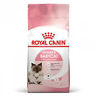 Royal Canin Mother & Babycat (Роял Канин Мазер энд Бэбикет) сухой корм для котят, беременных и кормящих кошек