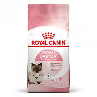 Royal Canin Mother & Babycat (Роял Канин Мазер энд Бэбикет) сухой корм для котят, беременных и кормящих кошек 2 кг.
