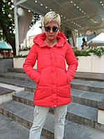 Жіночі зимові куртки — 60028-ян — Коротка зимова жіноча куртка пуховик без капюшона