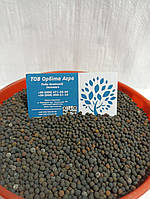 Сидерат Віка (10кг)