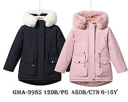 Куртки для дівчаток оптом, Glo-Story, розміри 6-16 років, арт. GMA-3985