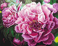 Картина по номерам Цветы Роскошный пион Картины в цифрах на холсте 40x50 см Brushme BS4667