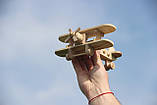 Дерев'яна іграшка літак "Біплан", фото 4