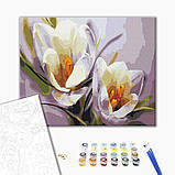 Картина за номерами Крокуси Картини за номерами 40x50 Квіти крокус на полотні Brushme BS5828, фото 2