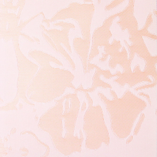 Рулонні штори Briar 2 Pink, Польща, фото 1