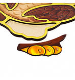 Дерев'яна розвивальна іграшка Контурний пазл "Сова" ПСД087, фото 3