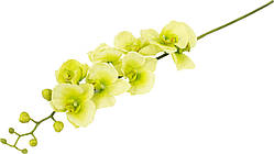 Квітка Орхідея 90см силікон №034F/green (зелена)
