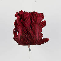 Тюльпан из сатина бордовый (КОД: W30-RB #RB red) В -9 см Д - 7 см | производство в Польша |24 шт. в упаковке