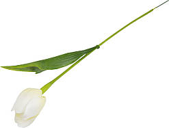 Тюльпан пластик білий №4000