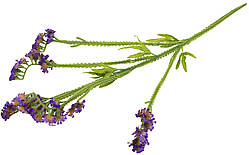 Гілка "Сухоцвіт"