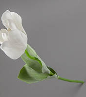 Квітка Тюльпан 66см №016FR-1/white (біла)