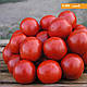 Насіння томату Солероссо F1 5000 насіння Nunhems, фото 5