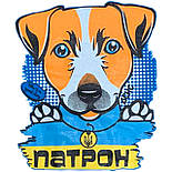 Толстовка і штани Пес Патрон начос 3-х нитка 04.17.00, фото 3