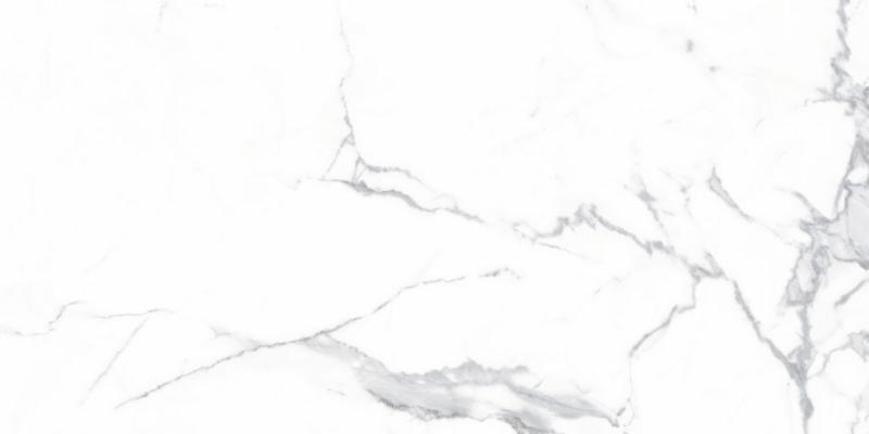 Плитка для підлоги Alcora Grey F P 600x1200x8 R Mat 1