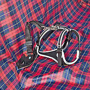 Захисний чохол-гамак для заднього автомобільного сидіння Ferplast Car Seat Cover 140 x 60 x h 50 см, фото 4