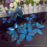 Декоративні метелики — "Blue Butterfly" — 12 шт., фото 4