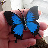 Декоративні метелики — "Blue Butterfly" — 12 шт., фото 5