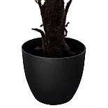 Штучна рослина - Папороть 160 см, в горщику (360528), фото 4