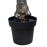 Штучне дерево - Пальма 175 см, в горщику (360375), фото 4