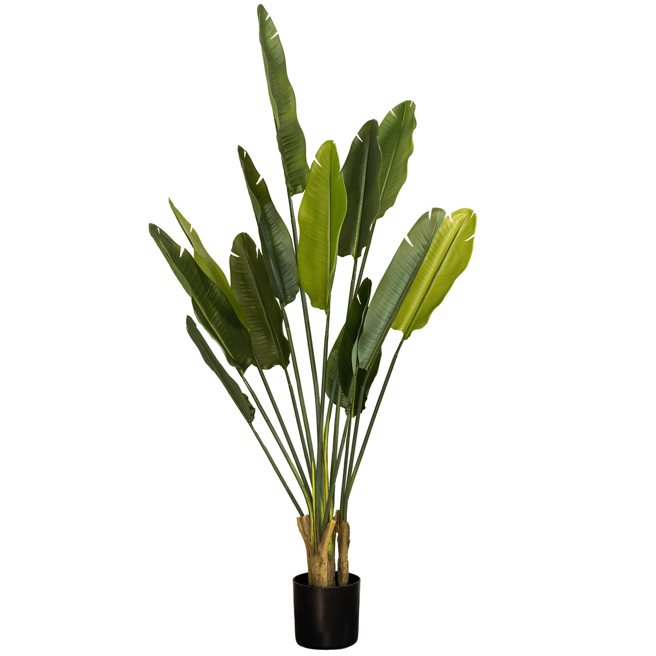 Штучна трава - Стреліція 164 см, в горщику (360436), фото 1