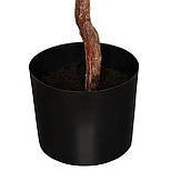 Штучне дерево - Фікус каучуконосний 115 см, в горщику (360474), фото 4