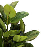 Штучне дерево - Фікус каучуконосний 115 см, в горщику (360474), фото 2