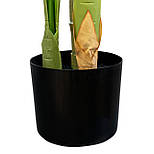 Штучне дерево - Пальма 150 см, в горщику (360498), фото 4