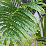 Штучне дерево - Пальма 150 см, в горщику (360498), фото 3