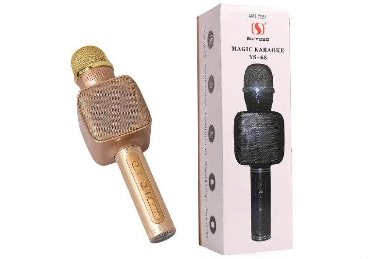 Мікрофон DM Karaoke Y 68 + BT