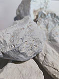 Глина біла 0,5кг, фото 7